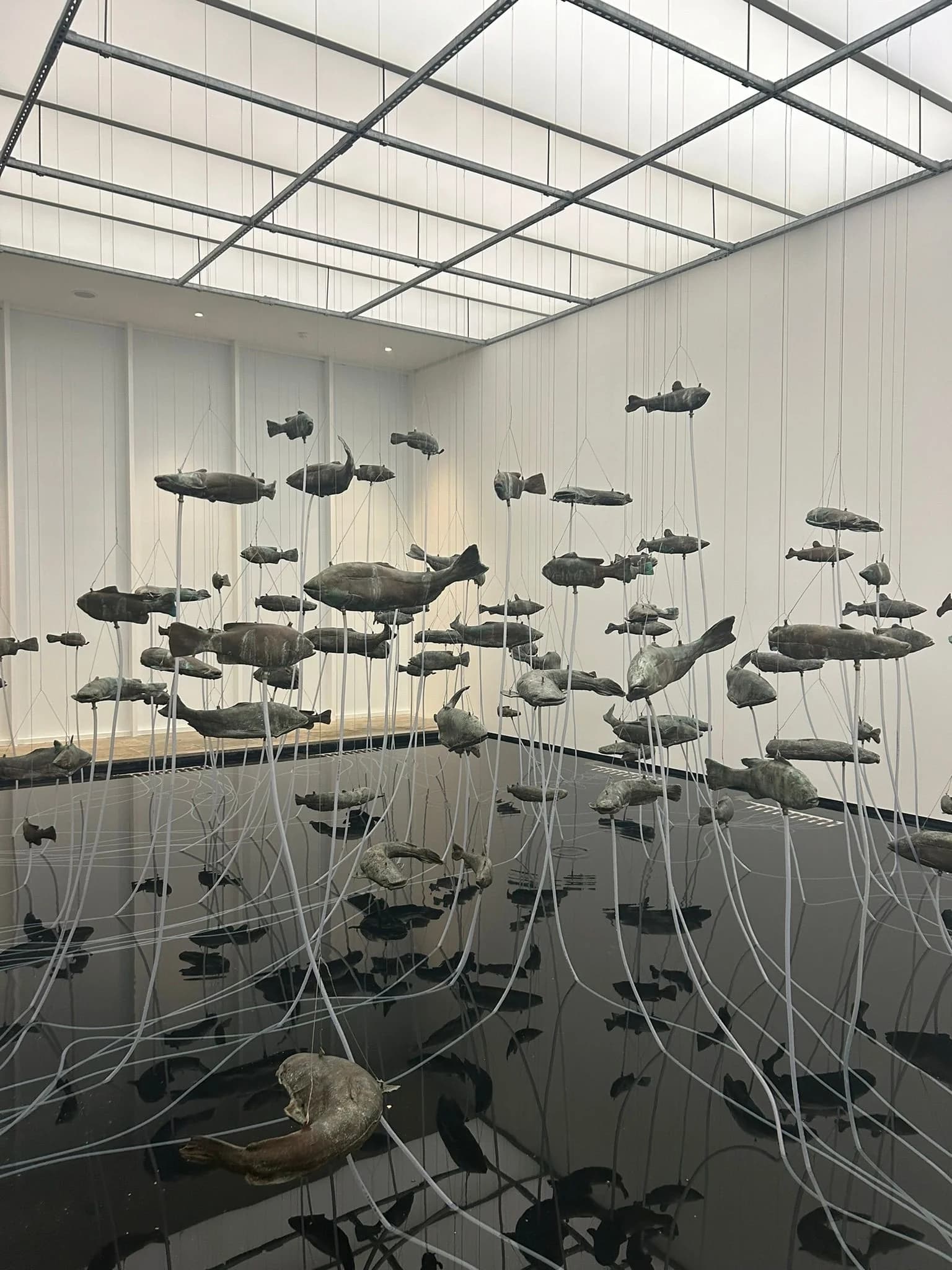 Fondation Carmignac - Art in Paradise